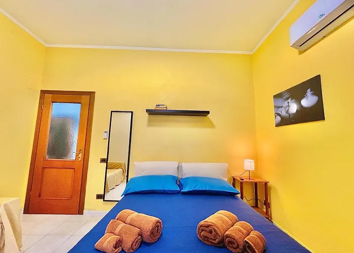 Begonie House Roma